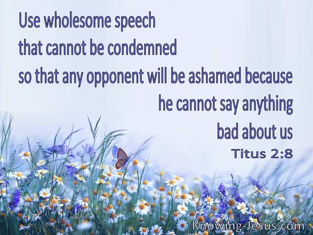 Titus 2:8  Your Message Is To Be Sound In Speech And Beyond Reproach (blue)
